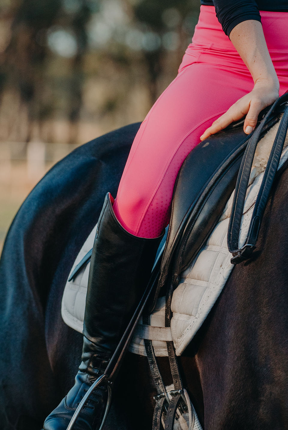 Shop Everything PURE Canter